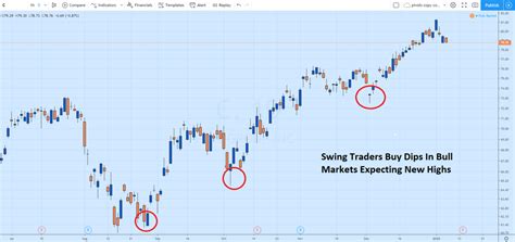 Bull Market Strategies: Investing